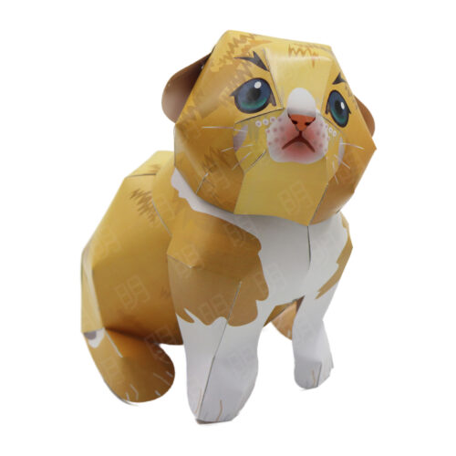 橘貓