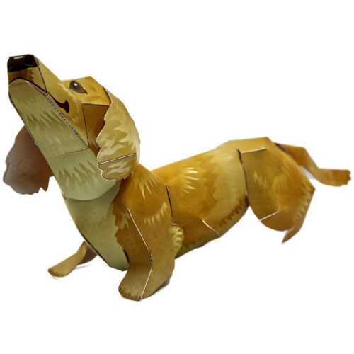 小臘腸犬